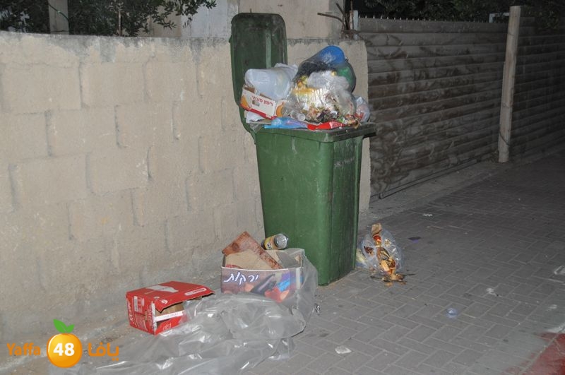 trash lud 907 (17).JPG